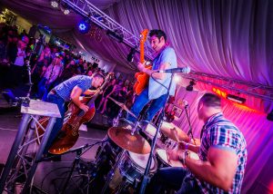 The Houndogs Live Photo