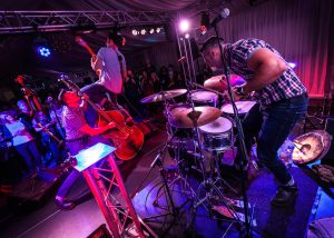 The Houndogs Live Photo