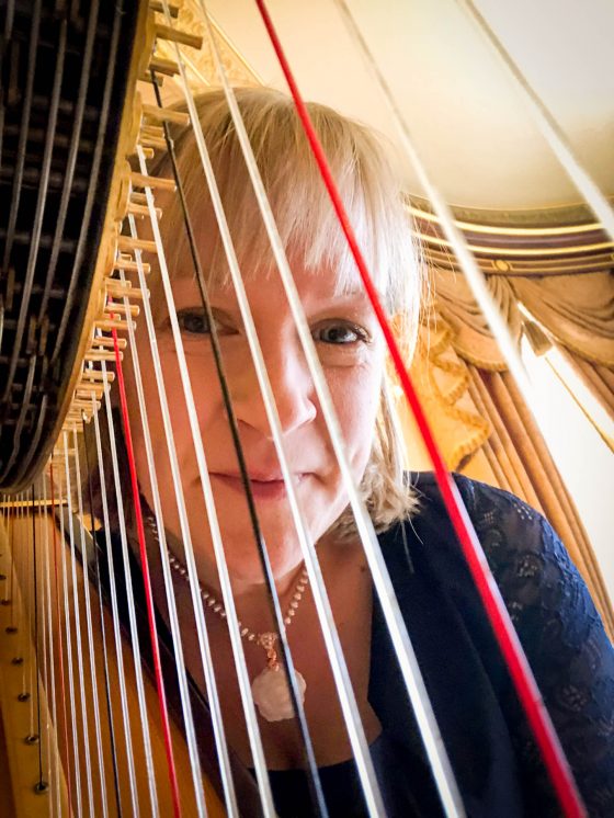 Cambridge Harpist for Hire