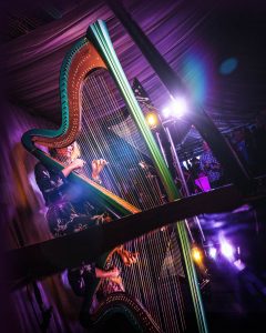 Eleanor Turner Harpist - Live