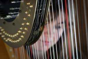 Rutland Harpist for Hire