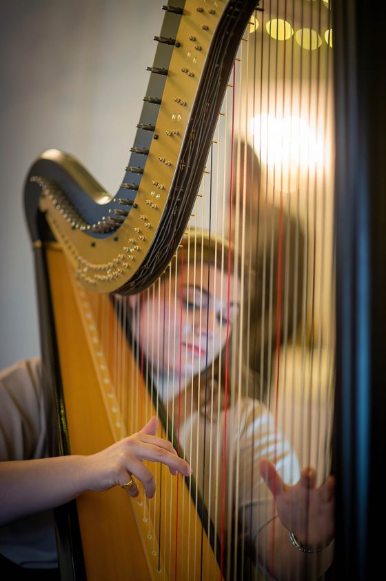 Rutland Harpist for Hire