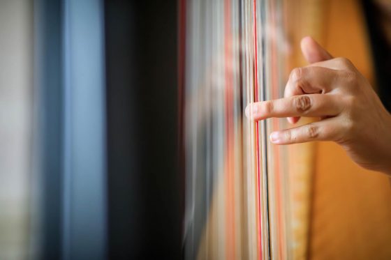 Rutland Harpist for Hire