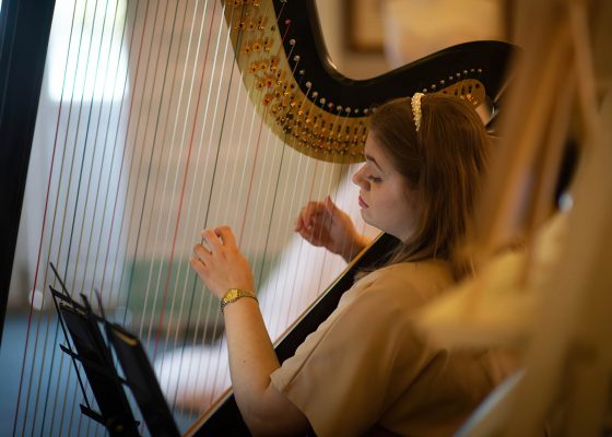 Rutland Harpist for Hire