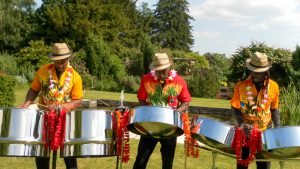 Sunny Steel Band