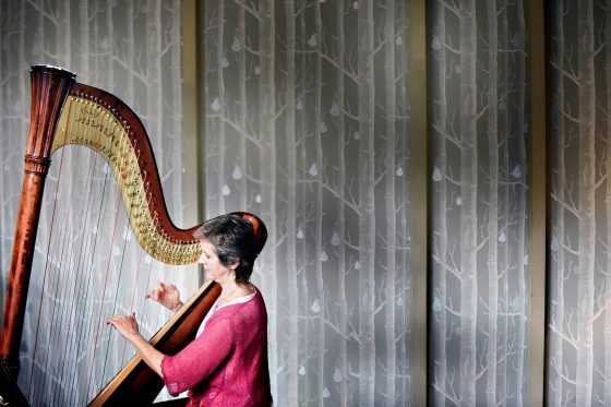Worcestershire Harpist