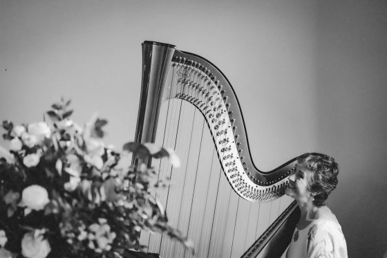 Worcestershire Harpist
